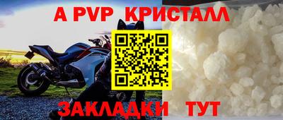 прущие грибы Краснодар